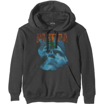 Pantera Felpa # Unisex Grey # Far Beyond Driven World Tour €39,90