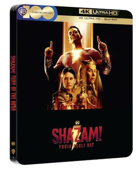Shazam! 2  Furia Degli Dei (Steelbook) (4K+Bluray)